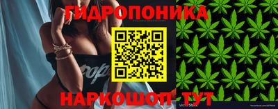 ГАЛЛЮЦИНОГЕННЫЕ ГРИБЫ Кулебаки