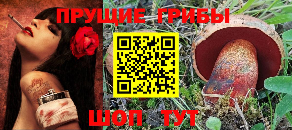 Казань  Псилоцибиновые грибы Magic Shrooms  Вход с VPN 
